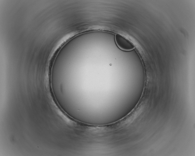 X0000113980902200910161620