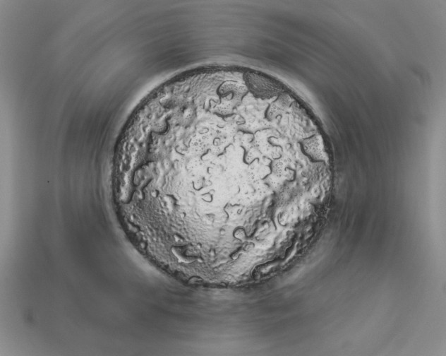 X0000113980903200910161620