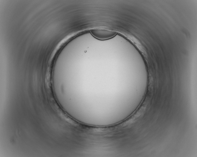 X0000113980904200910161620