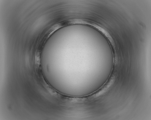 X0000113980905200910161620