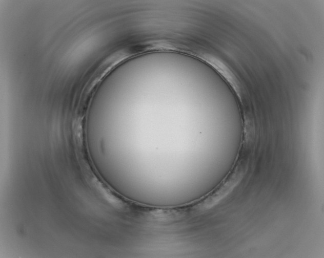 X0000113980906200910161620