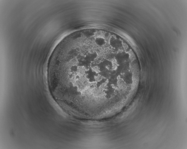 X0000113980907200910161620