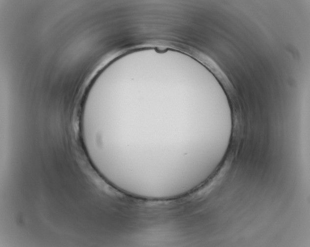 X0000113980908200910161620