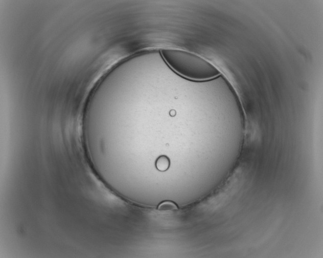 X0000113980909200910161620