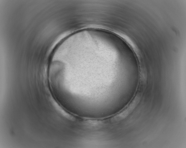 X0000113980910200910161620