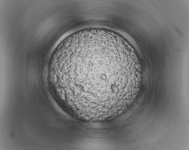 X0000113980911200910161620