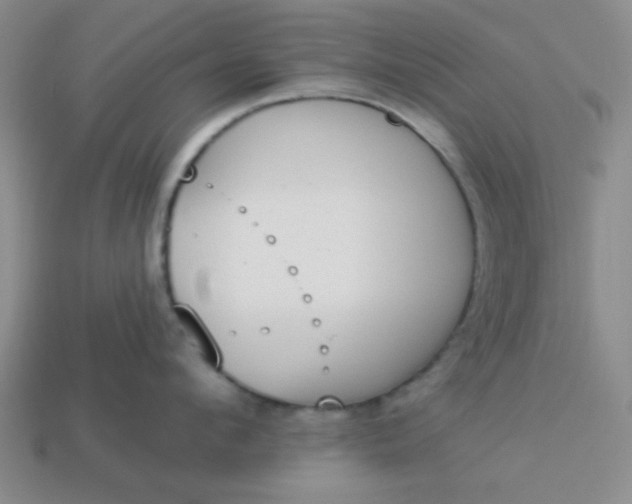 X0000113980912200910161620