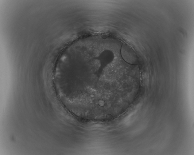 X0000113980913200910161619