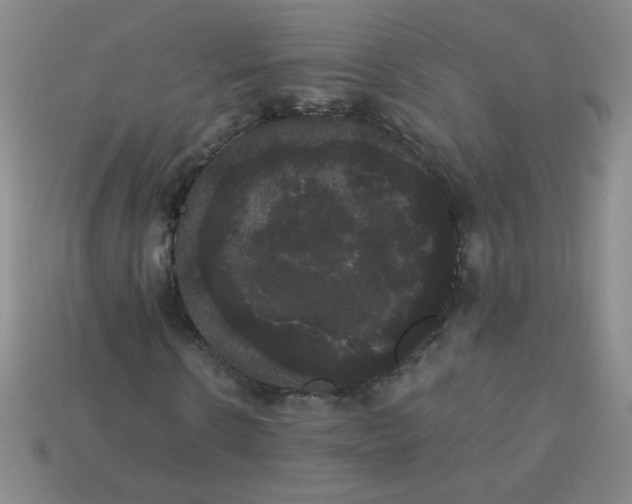 X0000113980914200910161619