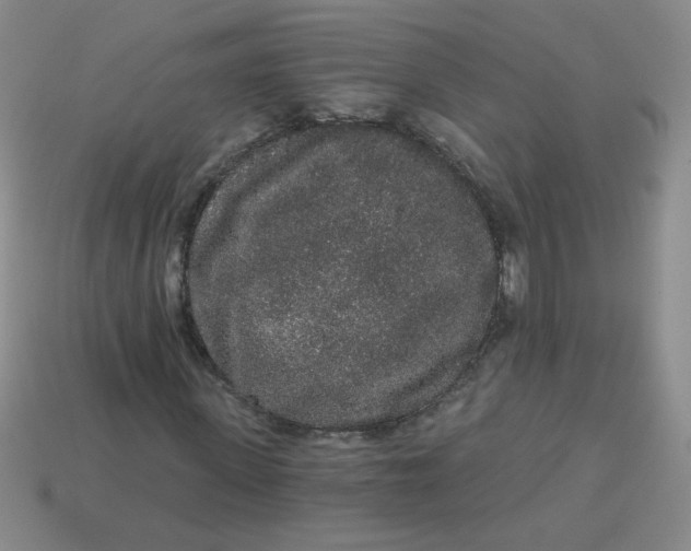 X0000113980915200910161619