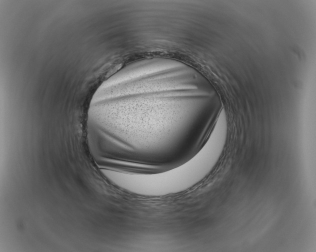 X0000113980916200910161619