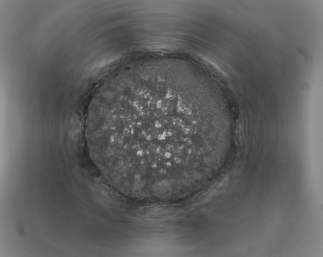 X0000113980917200910161619