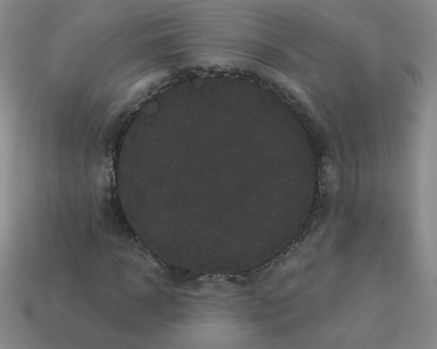 X0000113980918200910161619