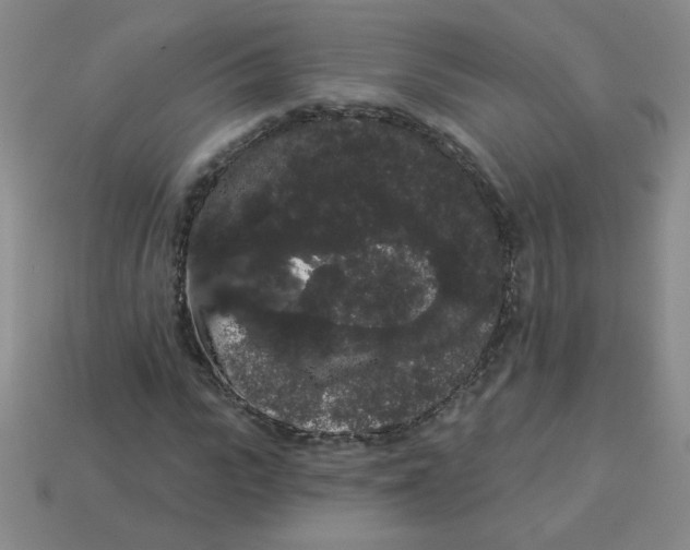 X0000113980919200910161619