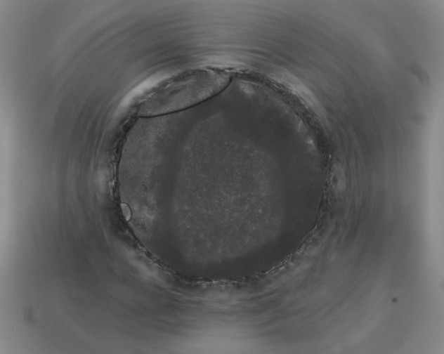 X0000113980920200910161619