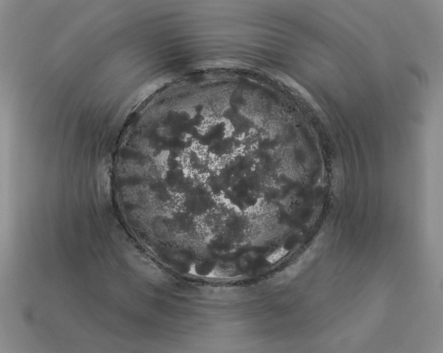 X0000113980921200910161619