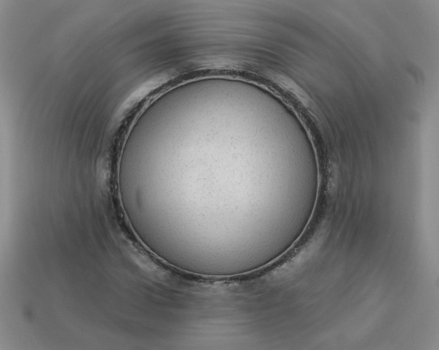 X0000113980922200910161619