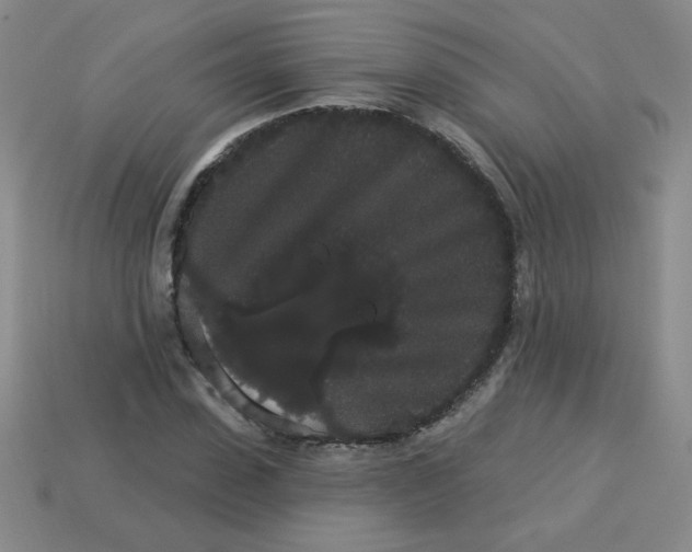 X0000113980923200910161619