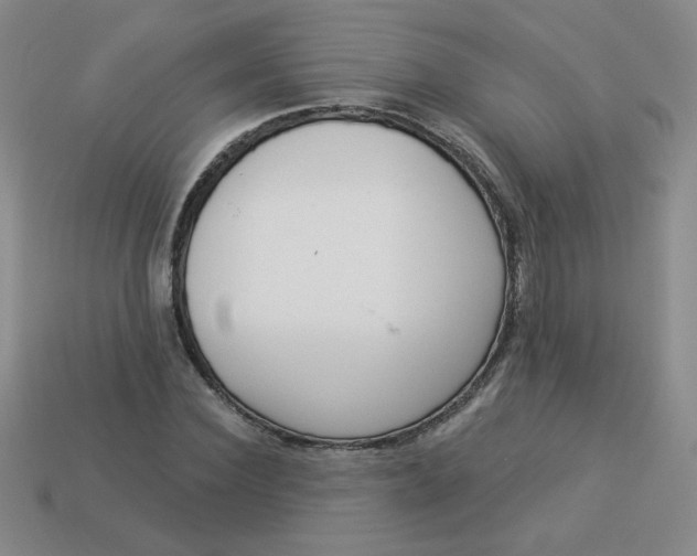 X0000113980924200910161619