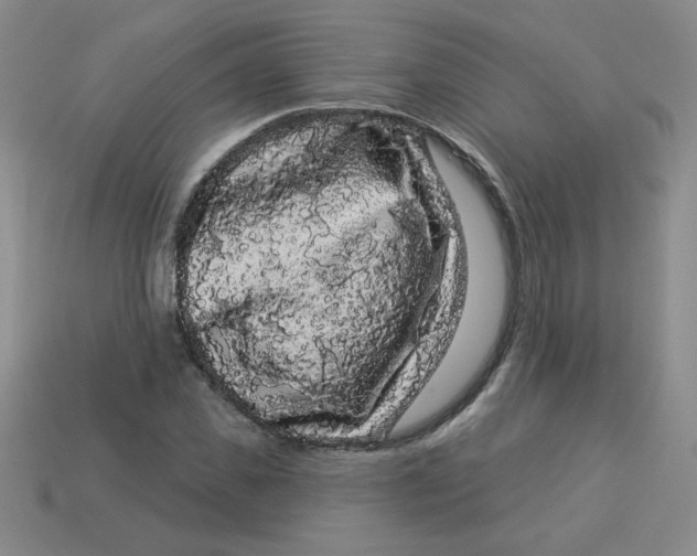 X0000113980925200910161619