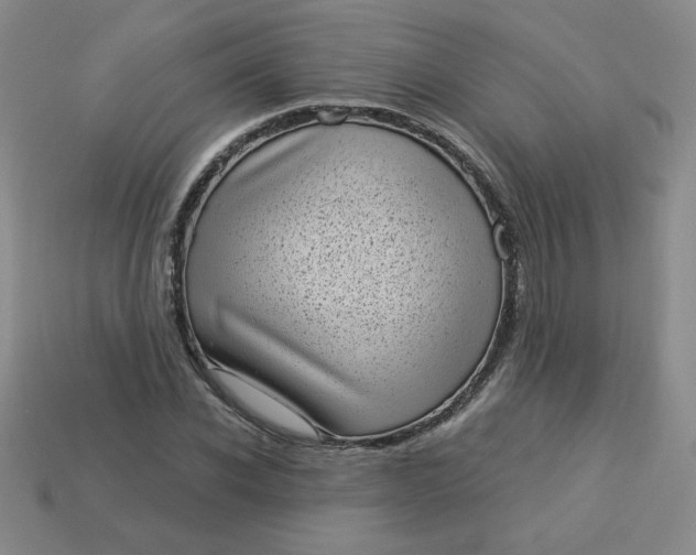 X0000113980926200910161619