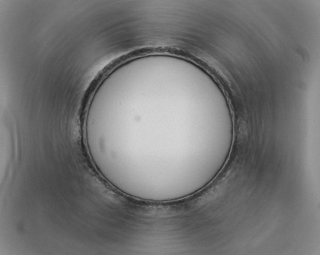 X0000113980927200910161619