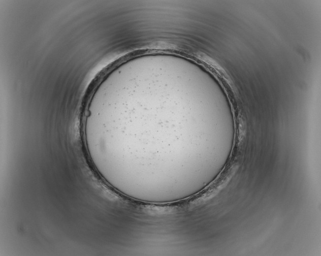 X0000113980928200910161619