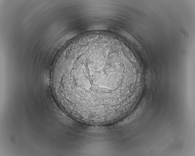 X0000113980929200910161619