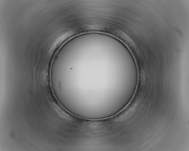 X0000113980930200910161619