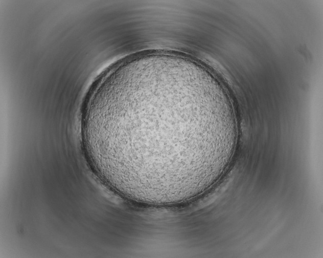 X0000113980931200910161619