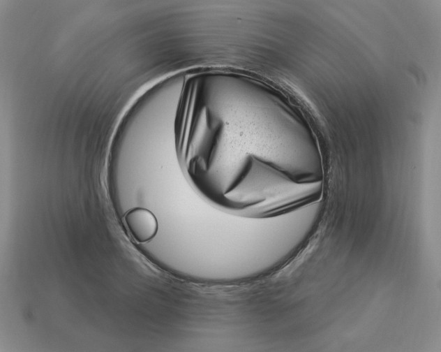 X0000113980932200910161619