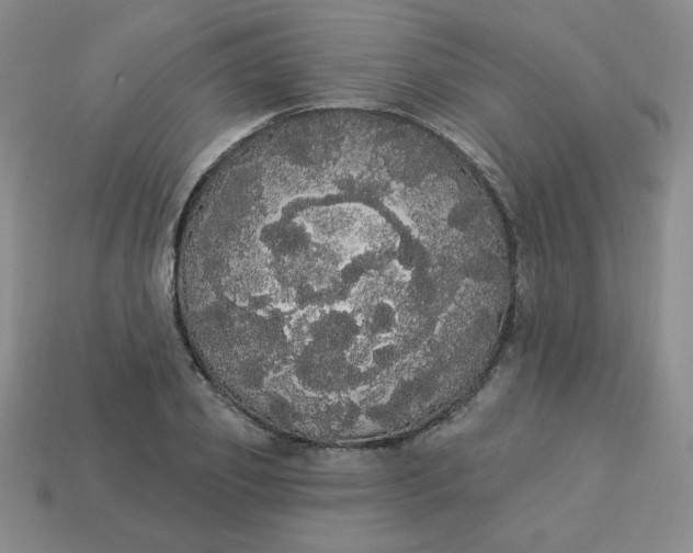 X0000113980933200910161619