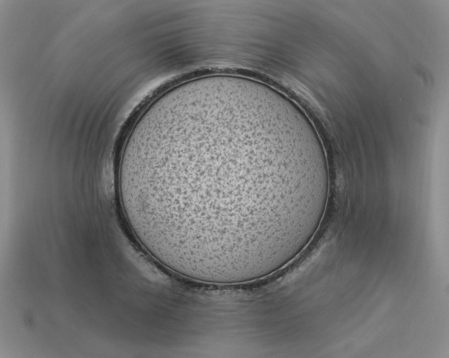 X0000113980934200910161619