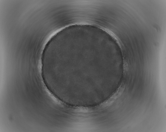 X0000113980935200910161619