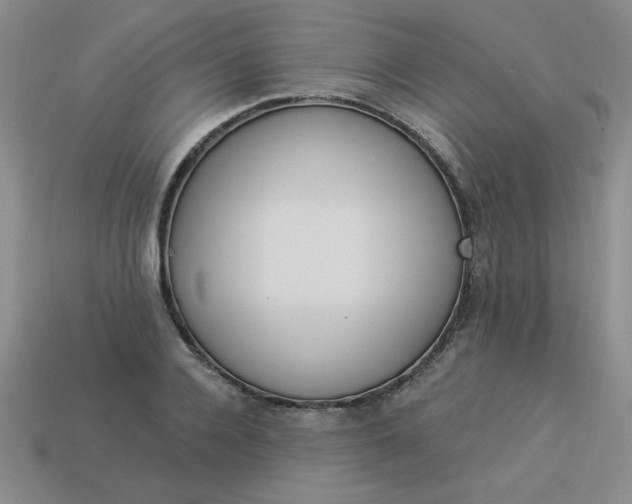 X0000113980936200910161619