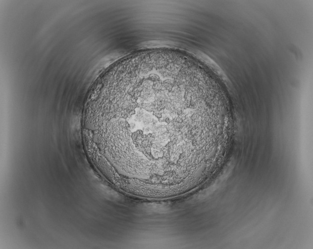 X0000113980937200910161619