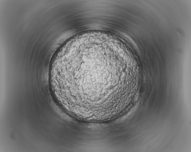 X0000113980938200910161619