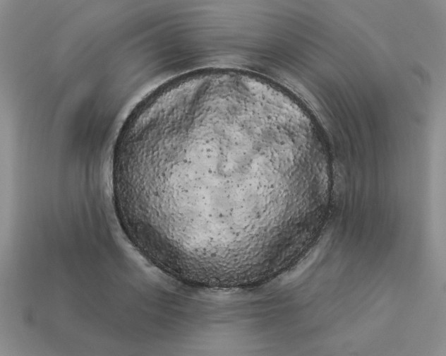 X0000113980939200910161619