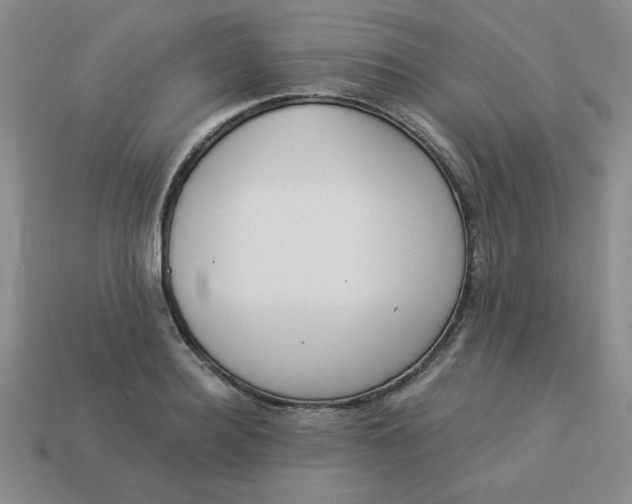 X0000113980940200910161619