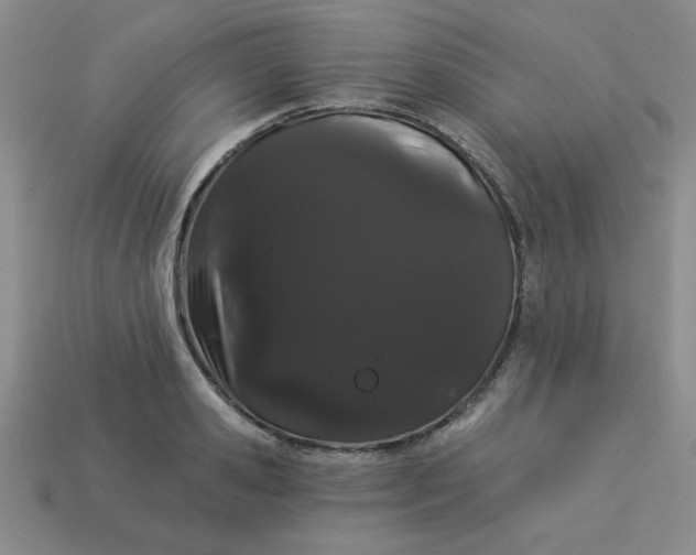 X0000113980941200910161619