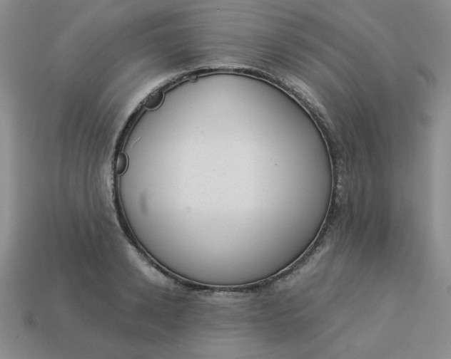 X0000113980942200910161619