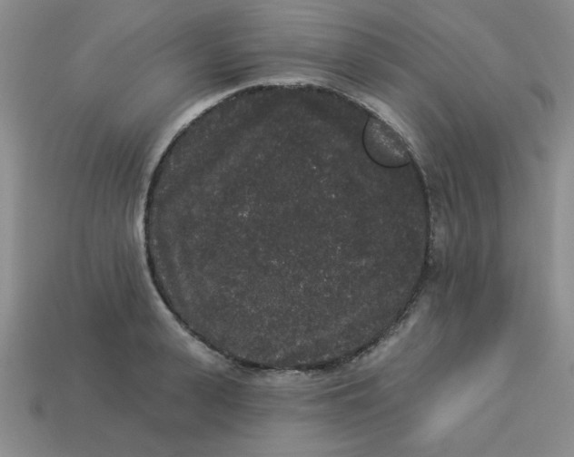 X0000113980943200910161619