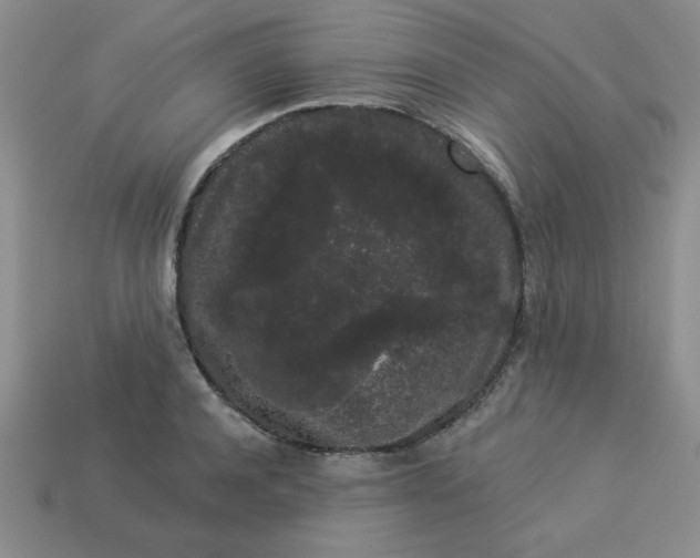 X0000113980944200910161619