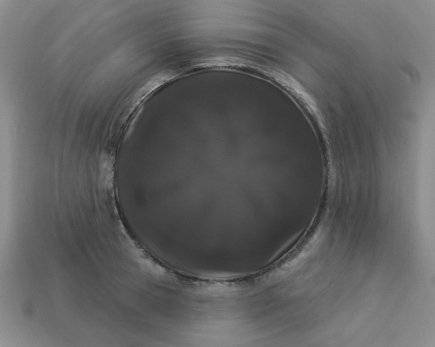 X0000113980945200910161619