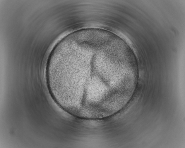 X0000113980947200910161619