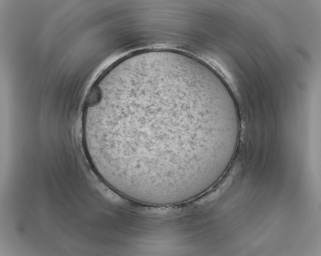 X0000113980948200910161619