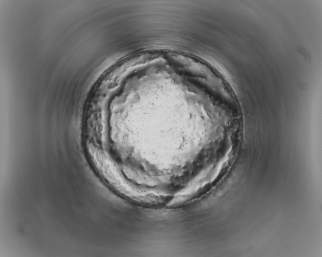 X0000113980949200910161619