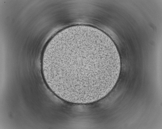 X0000113980950200910161619