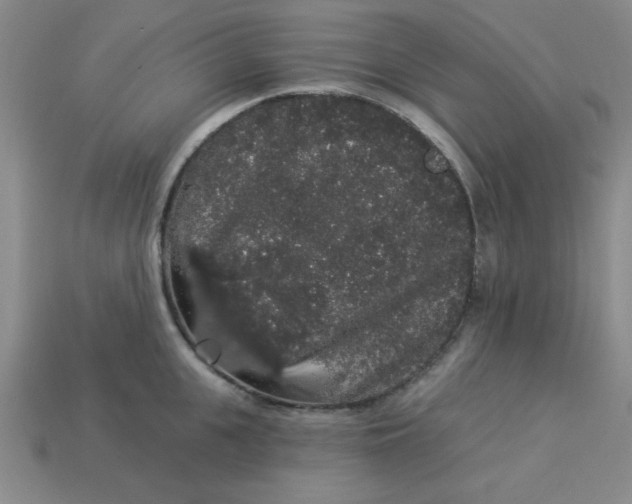 X0000113980951200910161619