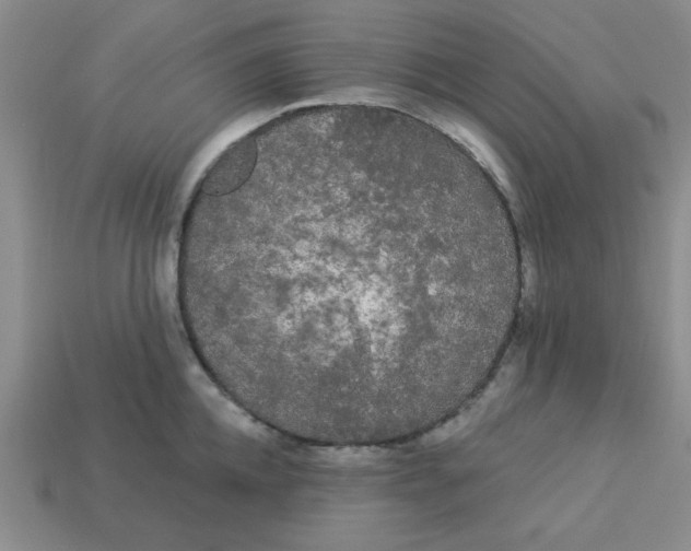 X0000113980952200910161619